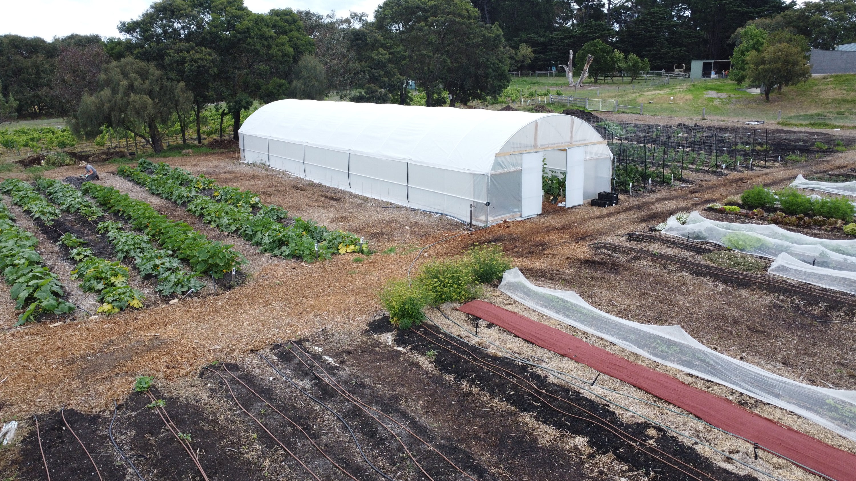 [Farm My School Pilot] Bellarine Secondary College, Drysdale Campus